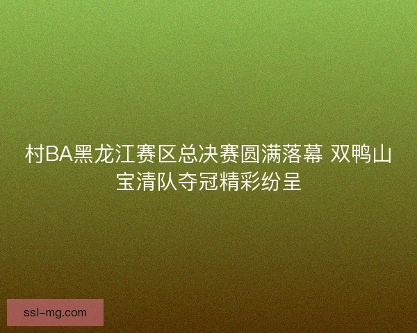 村BA黑龙江赛区总决赛圆满落幕 双鸭山宝清队夺冠精彩纷呈 村BA黑龙江赛区总决赛圆满落幕 双鸭山宝清队夺冠精彩纷呈